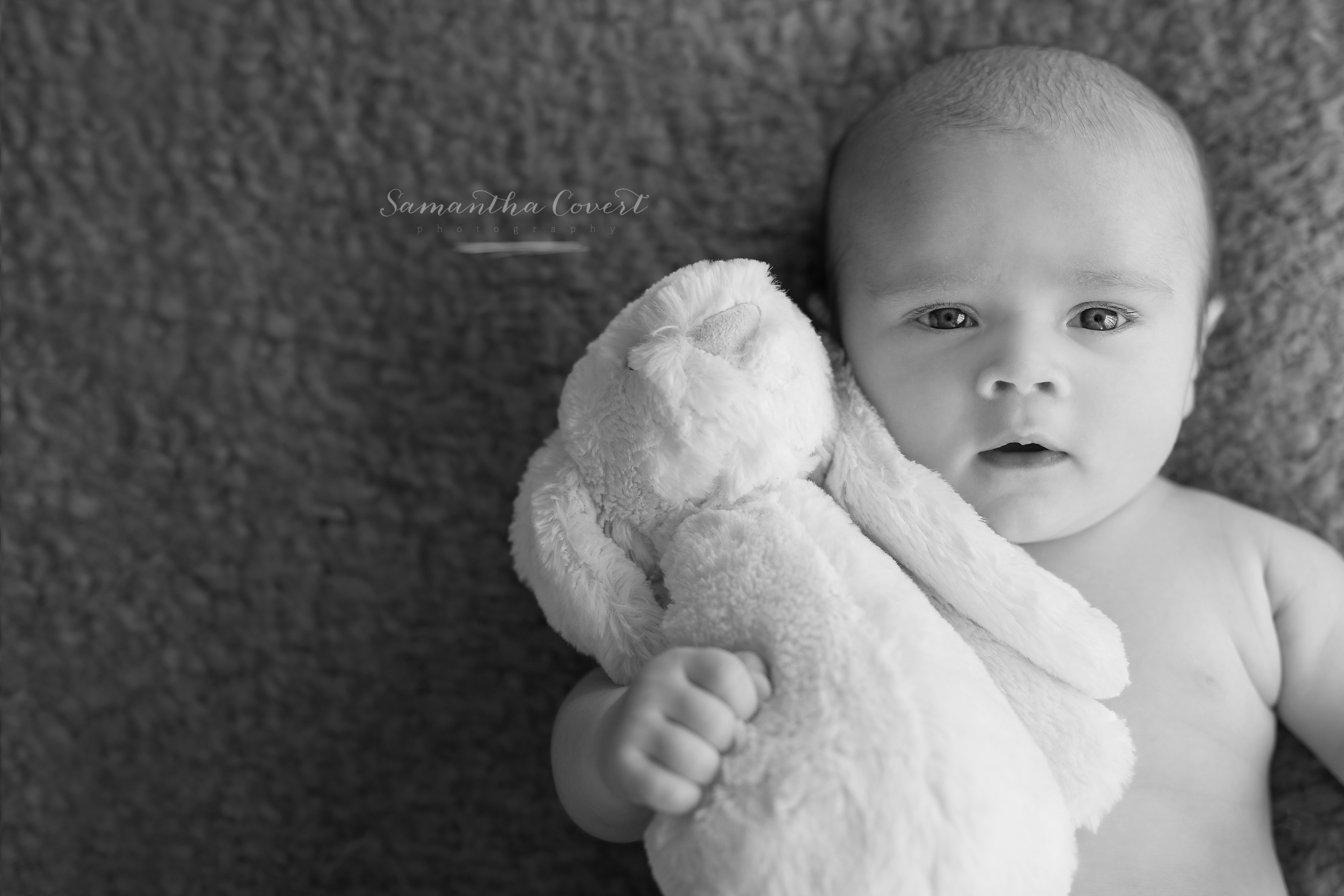 Samantha Covert Photography | Halifax, N.S. Newborn and Family Photographer